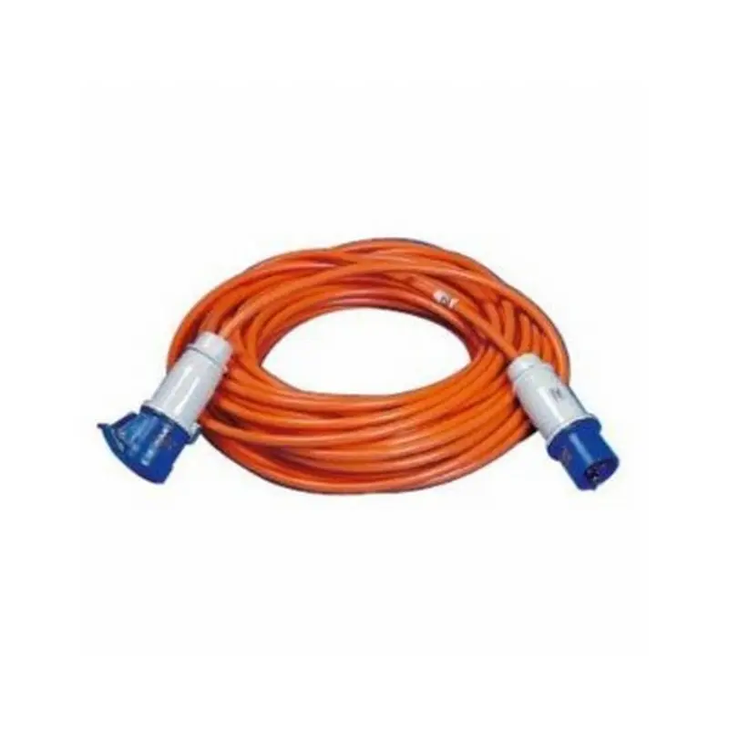 10 Metre Mains Site Lead
