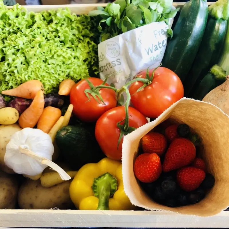 Large Vegetable and Salad Box